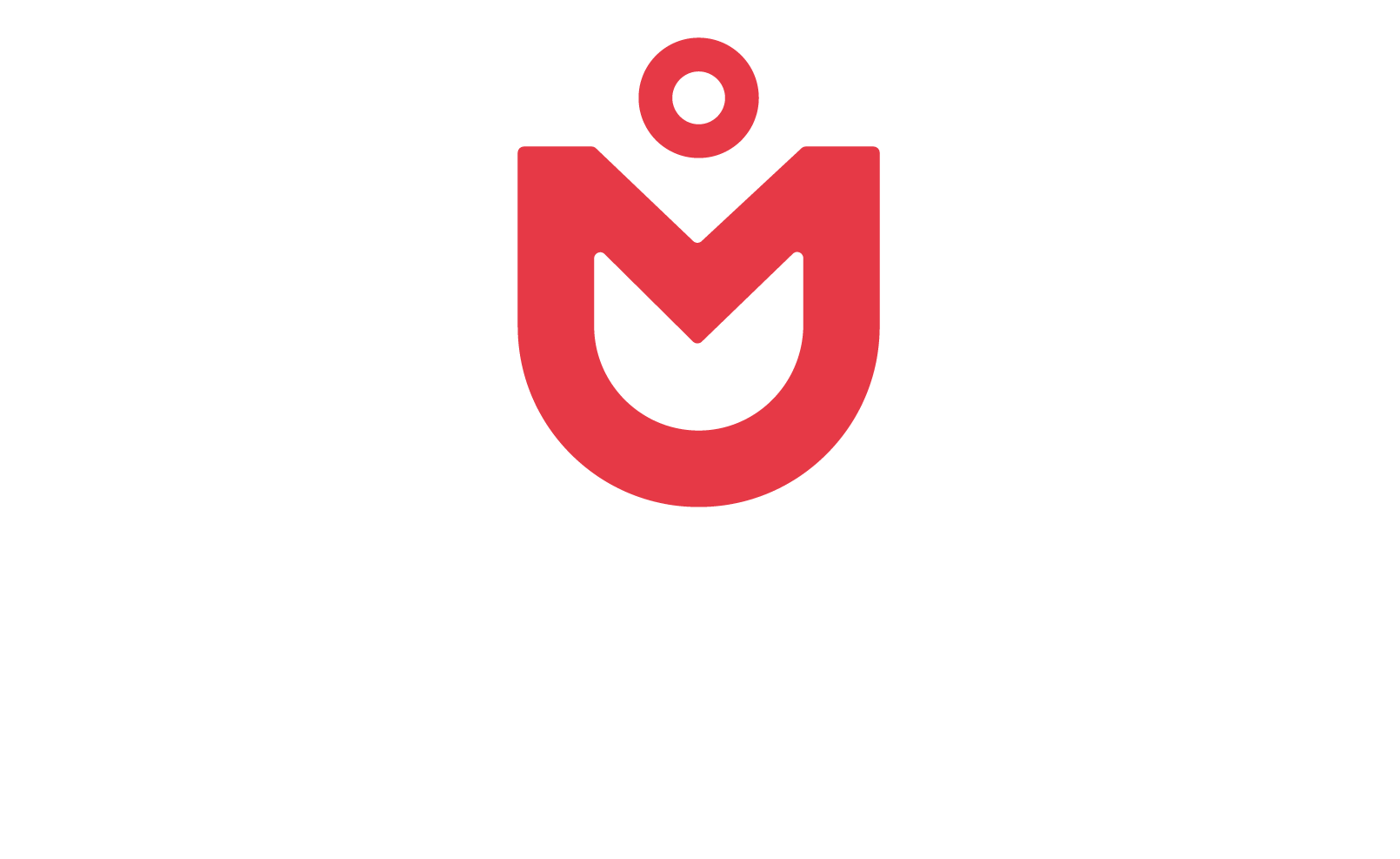 MAGFIX - Magnetisches Gym Towel mit Zipper-Tasche